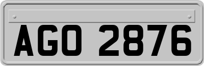 AGO2876