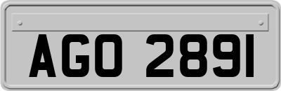 AGO2891