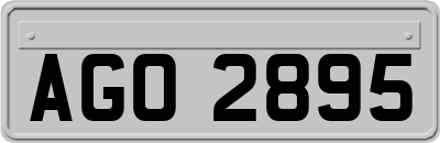 AGO2895