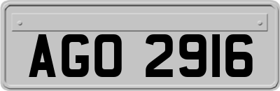 AGO2916
