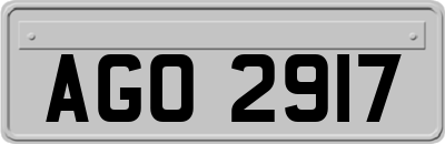 AGO2917