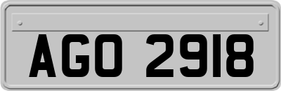 AGO2918