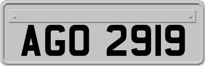 AGO2919