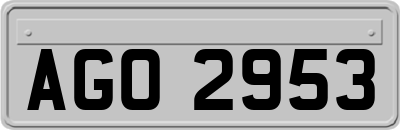 AGO2953