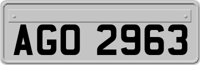 AGO2963