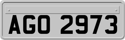 AGO2973