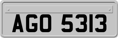 AGO5313