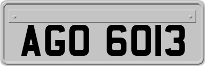 AGO6013
