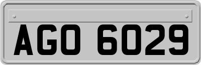AGO6029