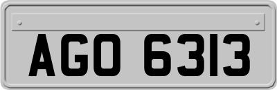 AGO6313