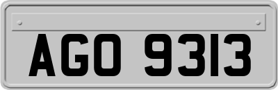 AGO9313
