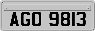 AGO9813