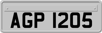 AGP1205