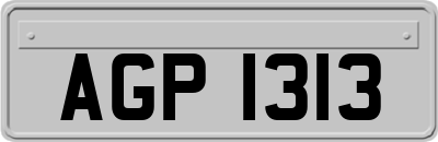 AGP1313