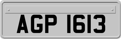 AGP1613