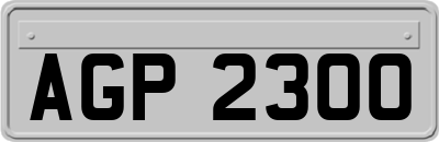 AGP2300