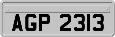 AGP2313