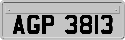 AGP3813