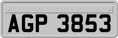 AGP3853