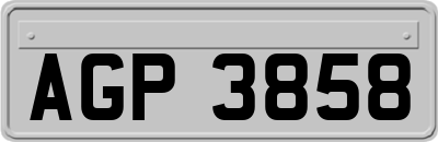 AGP3858