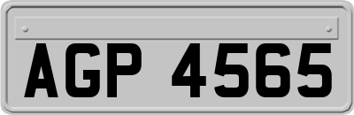 AGP4565