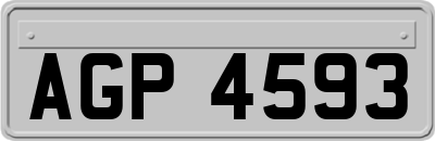 AGP4593