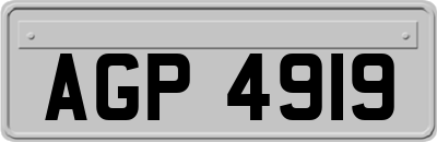 AGP4919