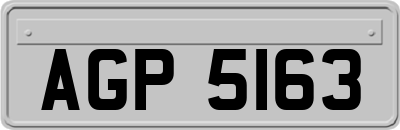AGP5163