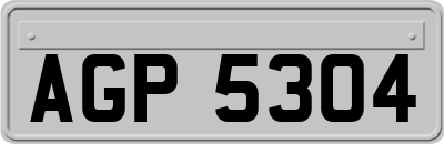 AGP5304