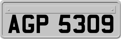 AGP5309