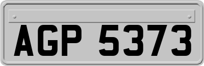 AGP5373