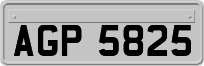 AGP5825