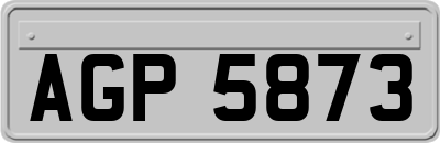 AGP5873