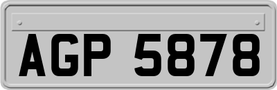 AGP5878