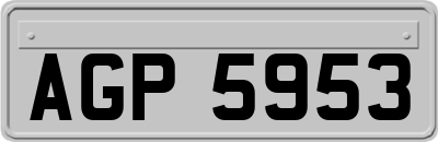 AGP5953