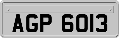 AGP6013