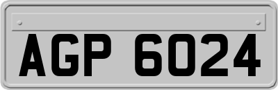AGP6024