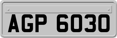 AGP6030