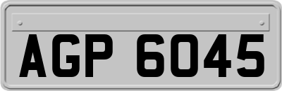 AGP6045