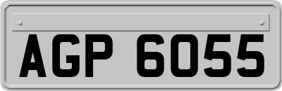 AGP6055