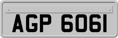 AGP6061