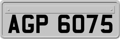 AGP6075