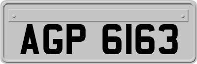 AGP6163