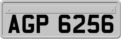 AGP6256
