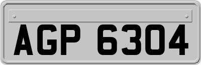AGP6304