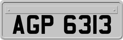 AGP6313