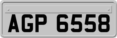 AGP6558