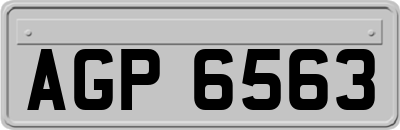 AGP6563