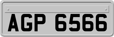 AGP6566