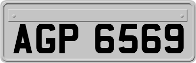 AGP6569